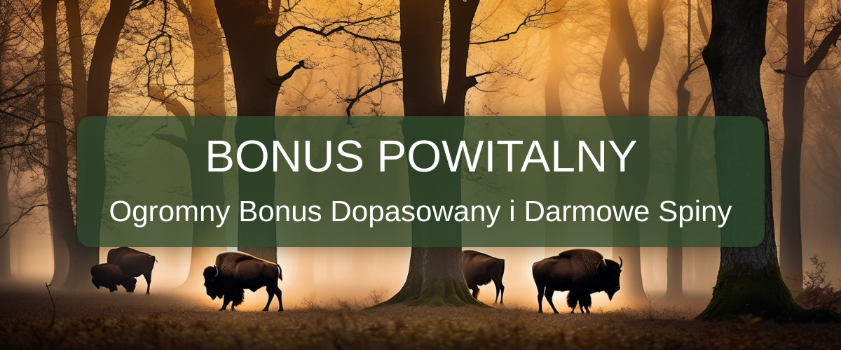 Bison Casino welcome bonus